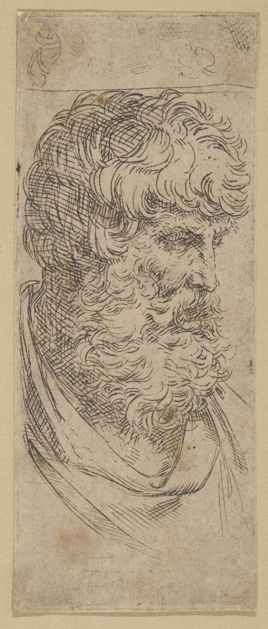 Büste eines bärtigen Mannes, ca. 1600-1640 von Guido Reni