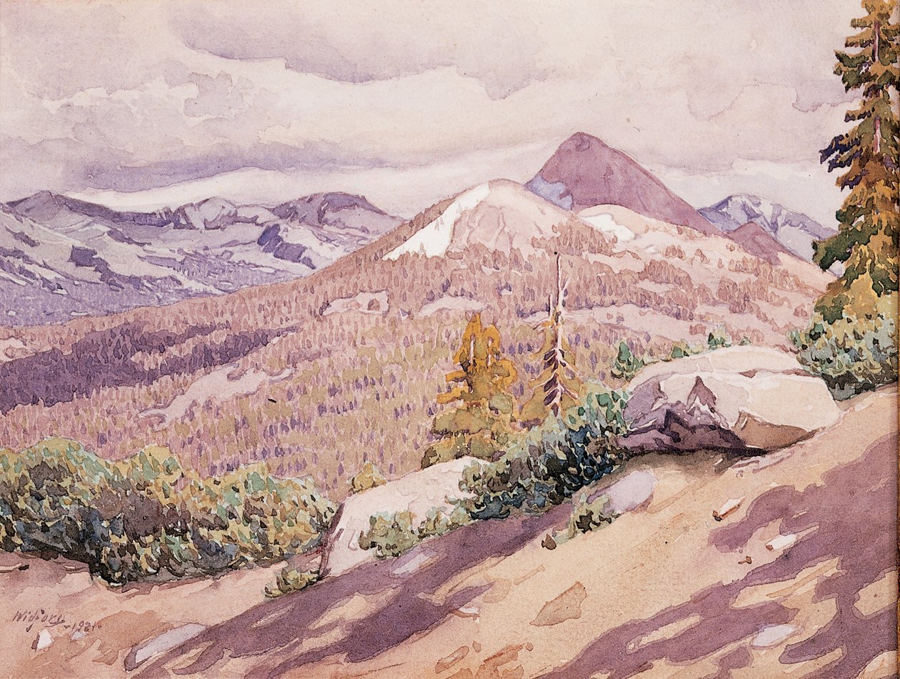 High Sierra von Gunnar Widforss