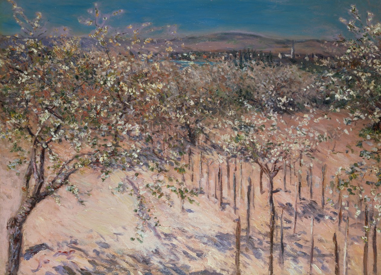Obstgarten mit blühenden Apfelbäumen, Colombes von Gustave Caillebotte