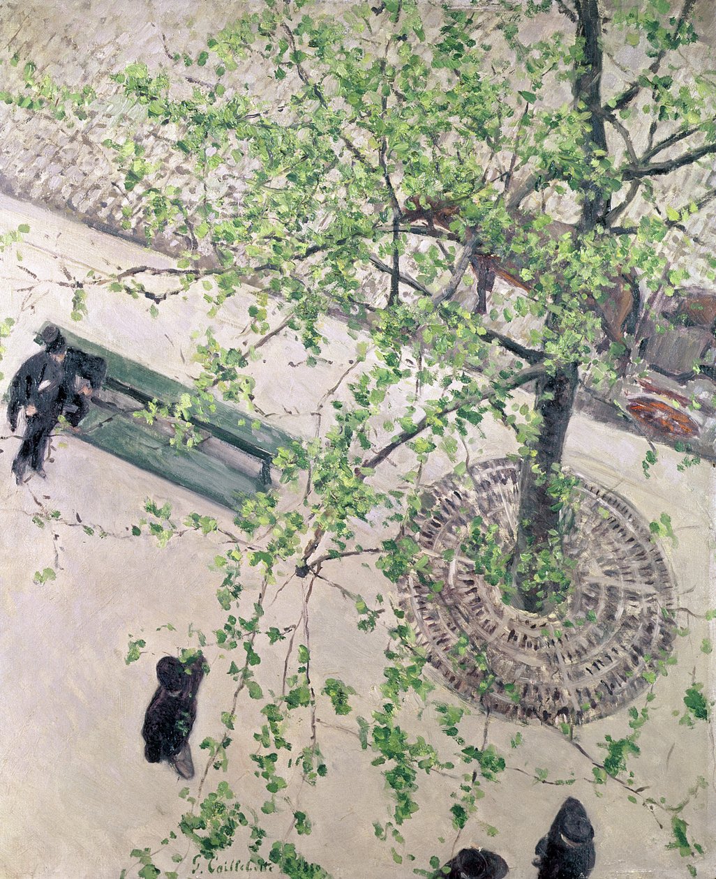 Der Boulevard von oben gesehen, 1880 von Gustave Caillebotte