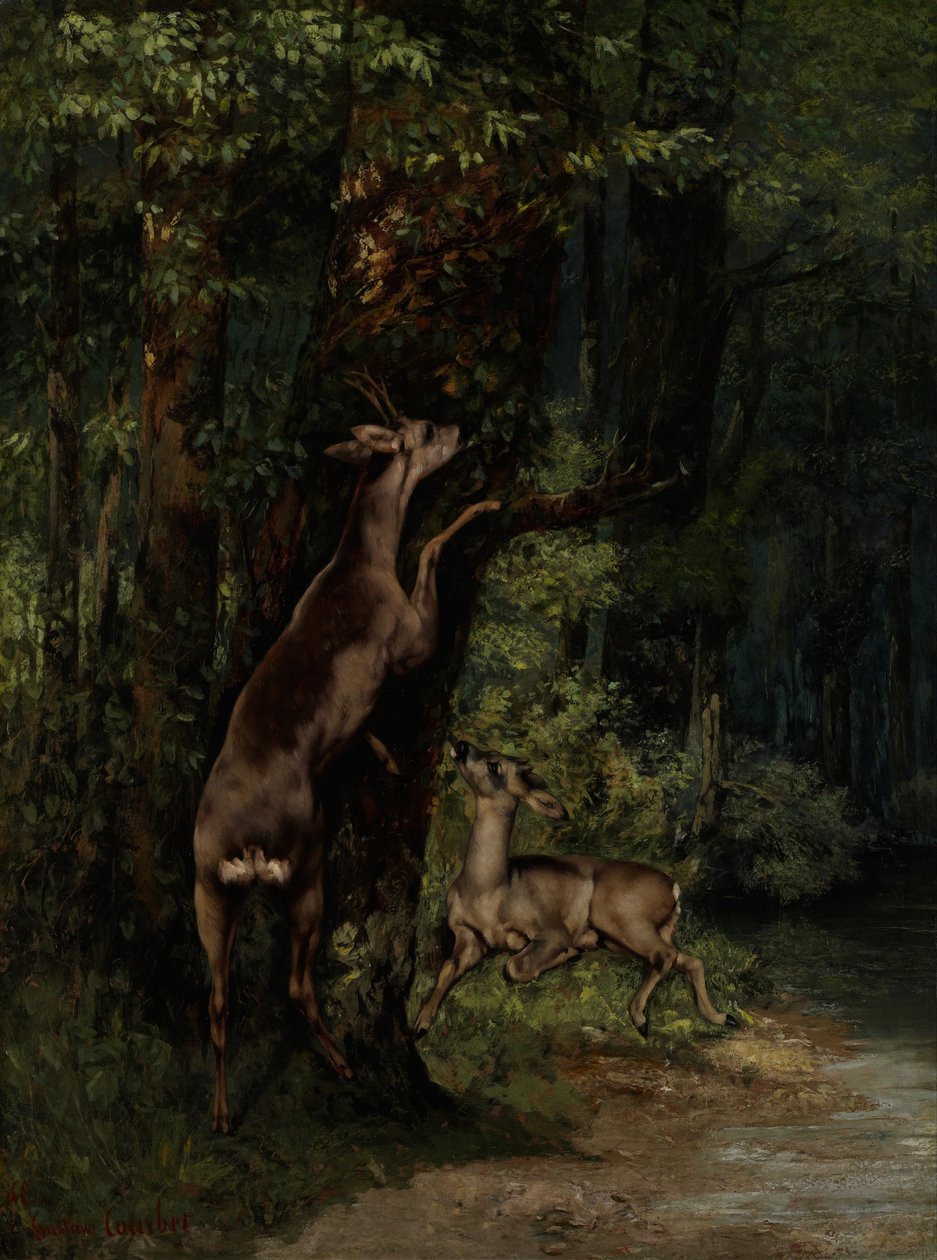 Hirsche im Wald von Gustave Courbet