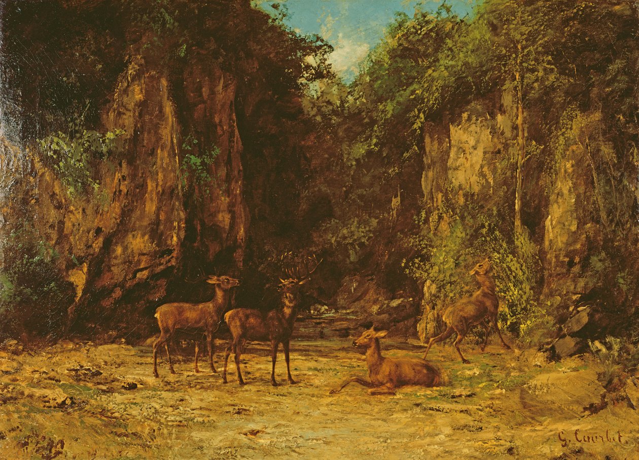 Herde von Rothirschen in der Dämmerung von Gustave Courbet