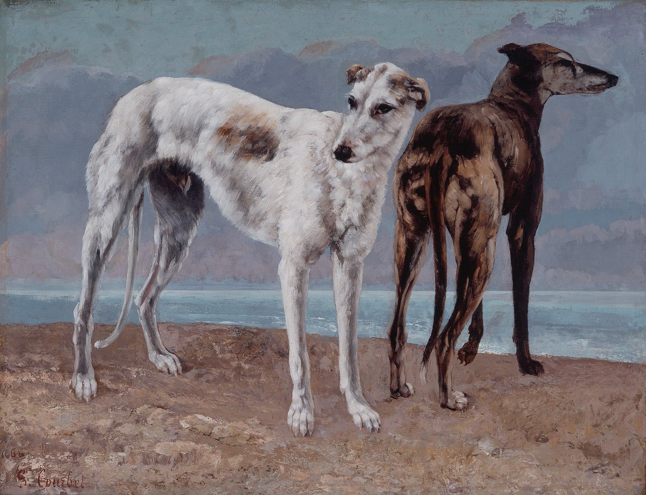 Die Windhunde des Comte de Choiseul von Gustave Courbet