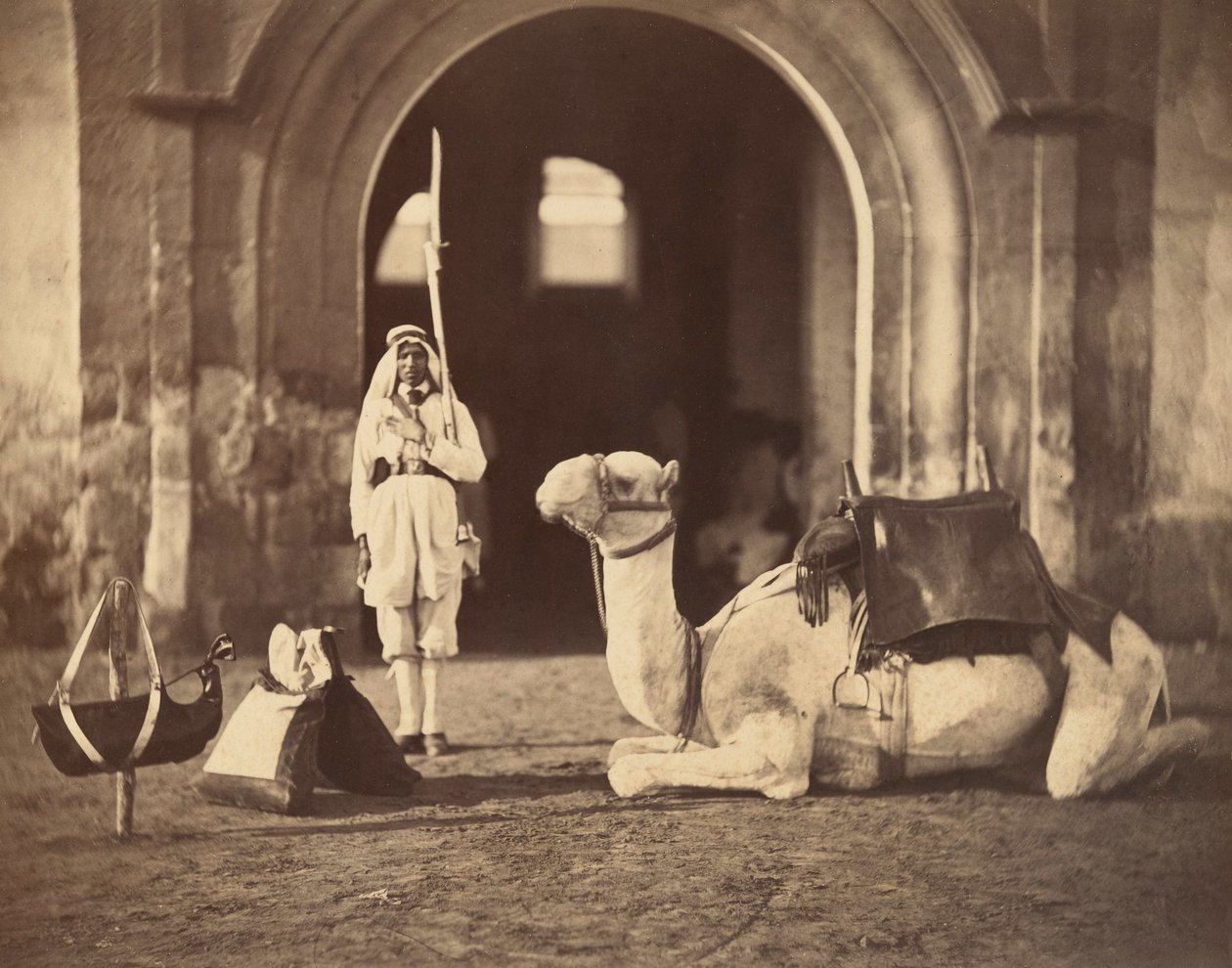Kamel, das liegt, ca. 1866 (Fotogravur) von Gustave Le Gray