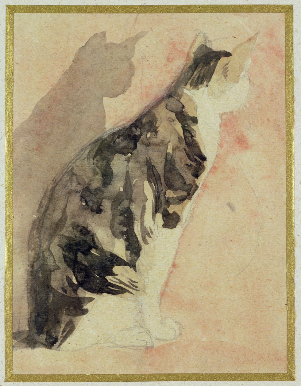 Studie einer Katze von Gwen John