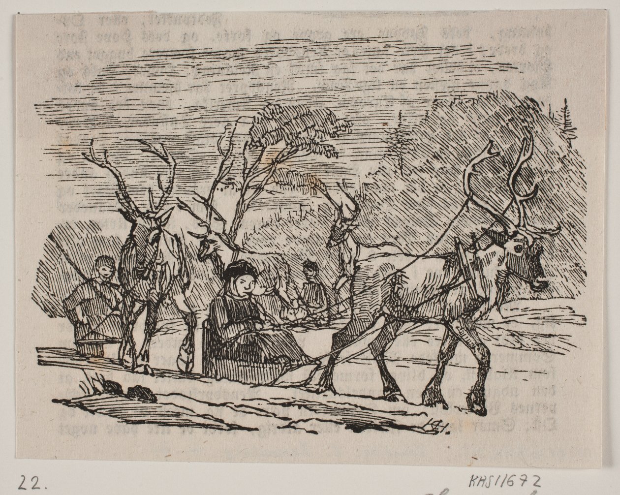 Schlittenfahrt mit Rentieren von H. C. Henneberg