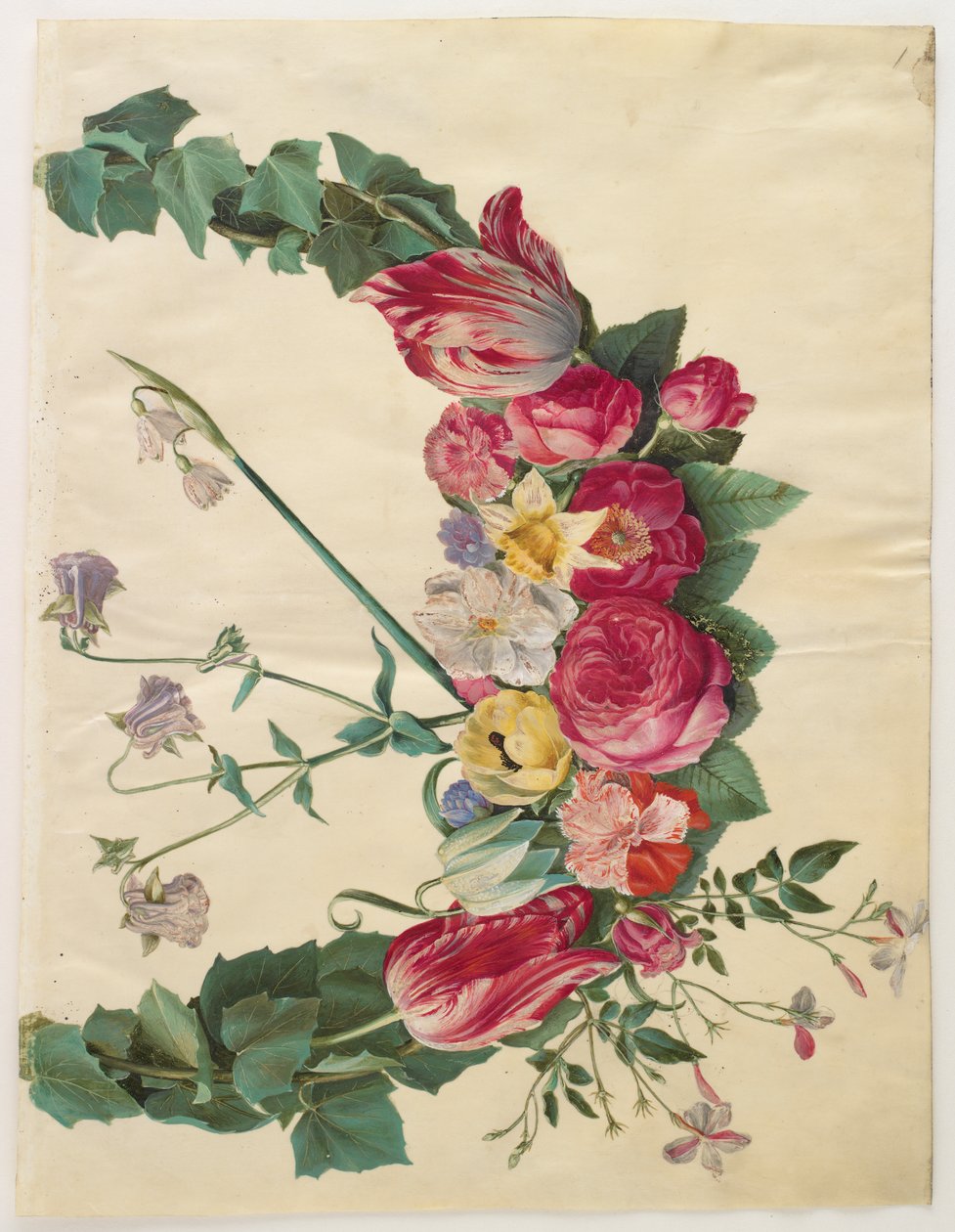 Blumenranke von Hans Simon Holtzbecker