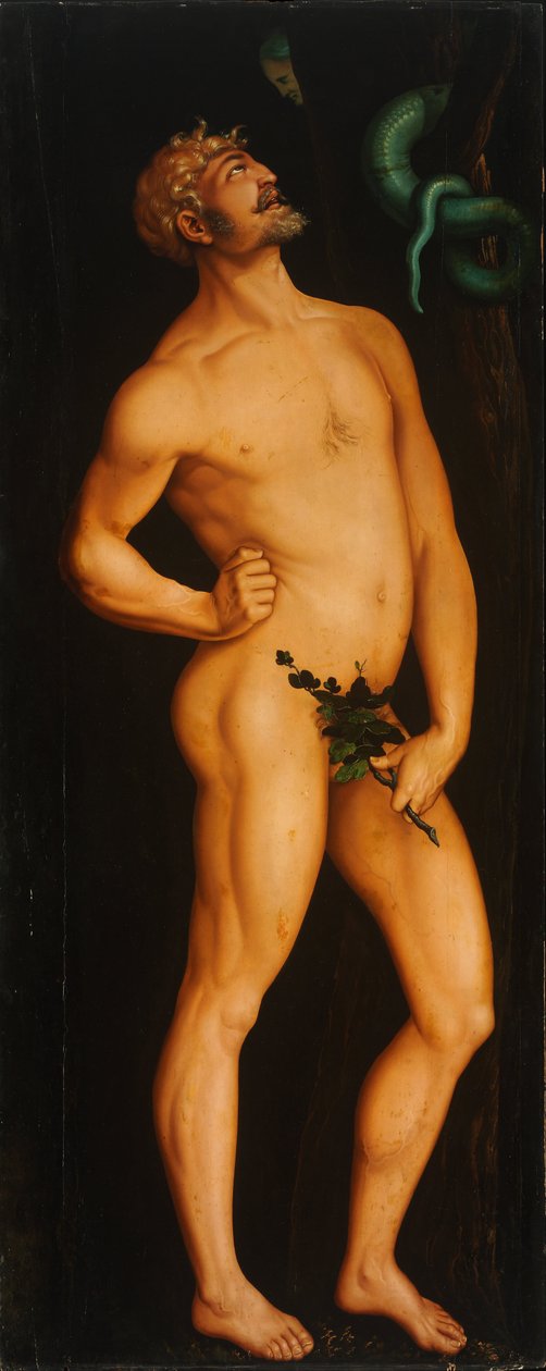 Adam von Hans Baldung
