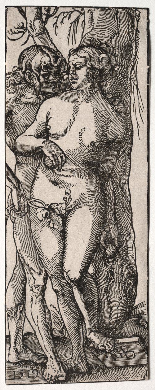 Adam und Eva von Hans Baldung