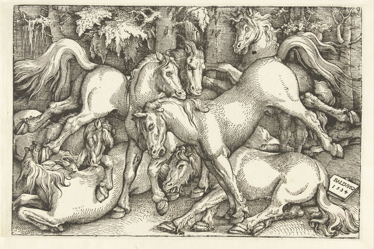 Gruppe von sieben kämpfenden Pferden von Hans Baldung Grien