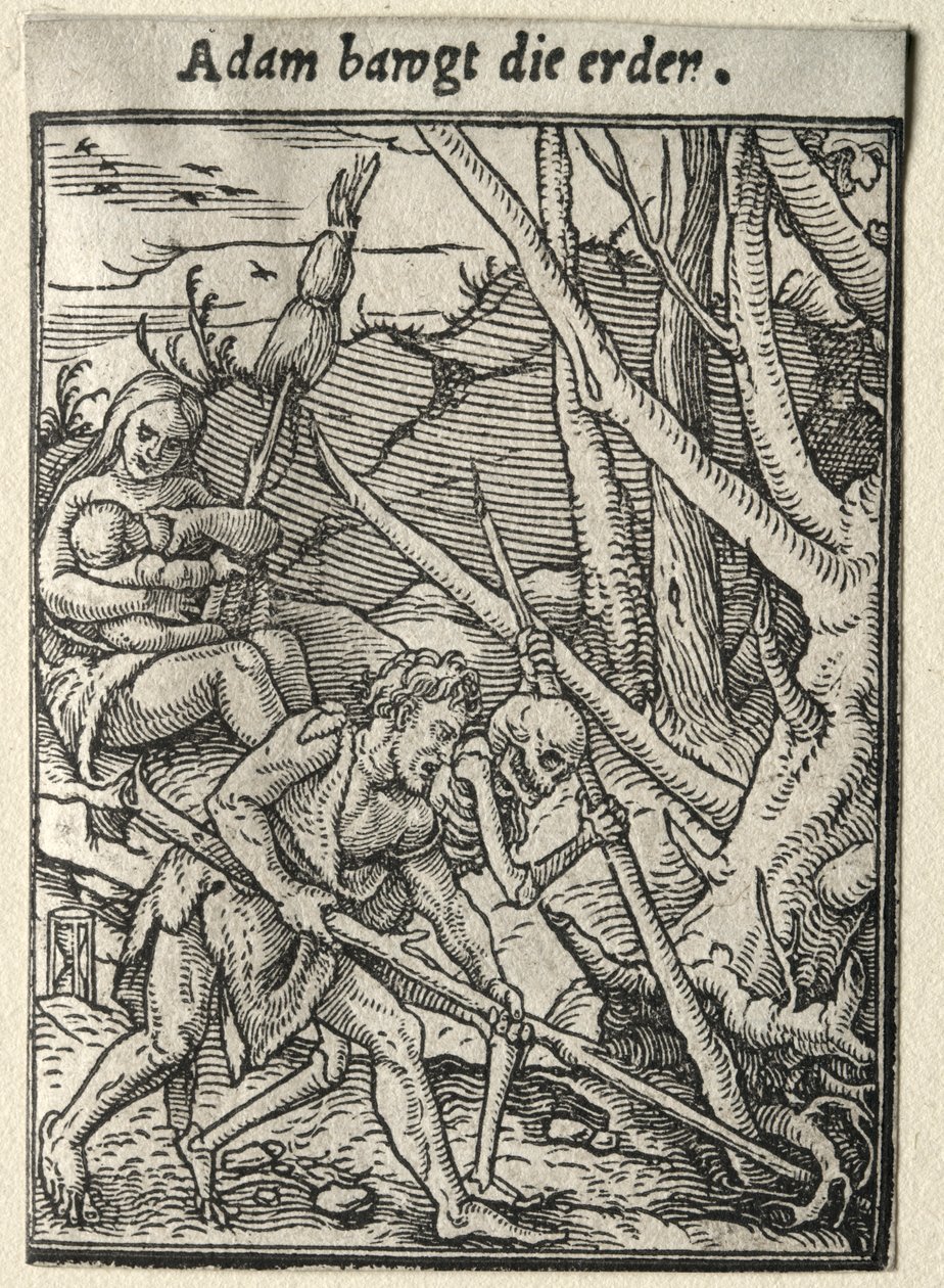 Totentanz: Adam pflügt das Feld von Hans Holbein
