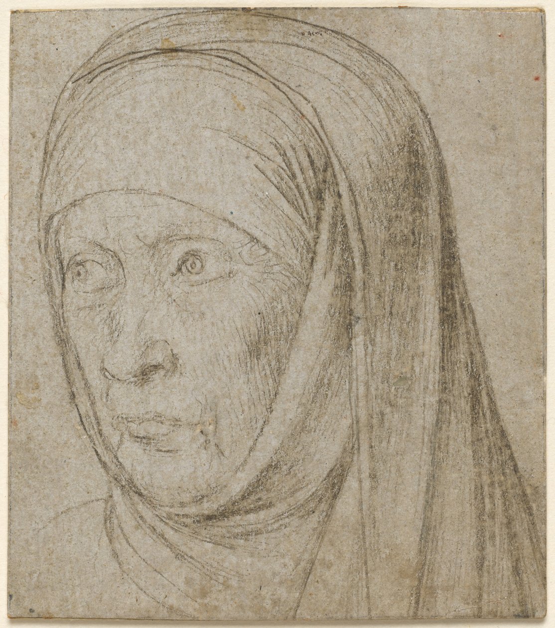 Kopf einer alten Frau von Hans Holbein