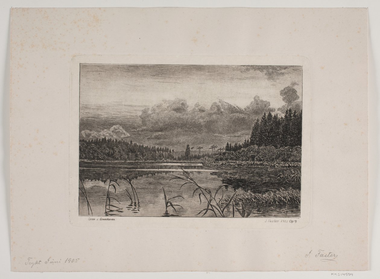Der See im Tannenwald von Hans Julius Fæster
