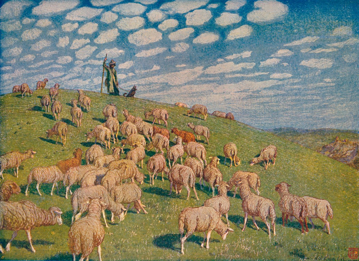 Weide im Frühling, um 1900 1903-1904 von Hans Richard von Volkmann