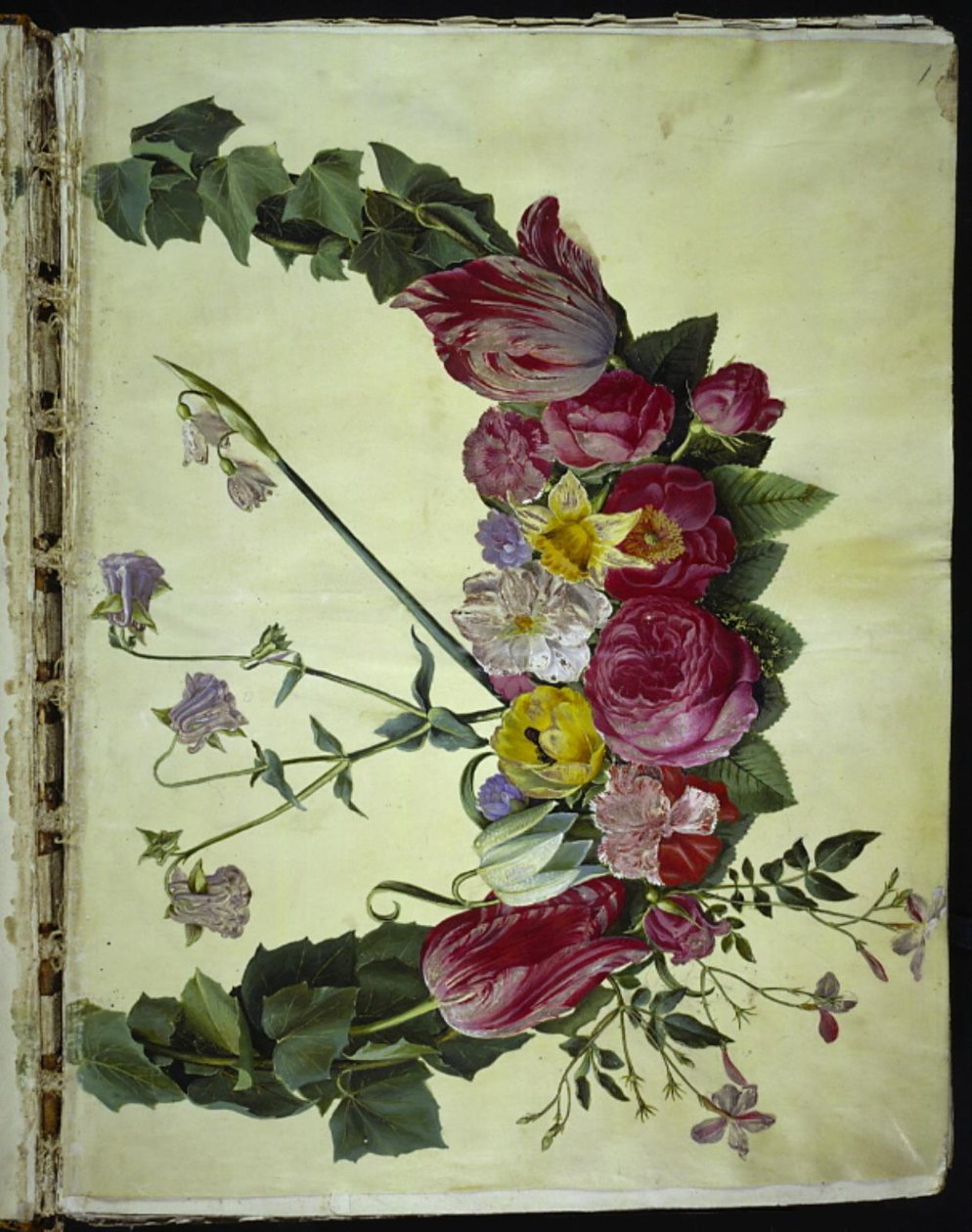 Blumenkranz von Hans Simon Holtzbecker