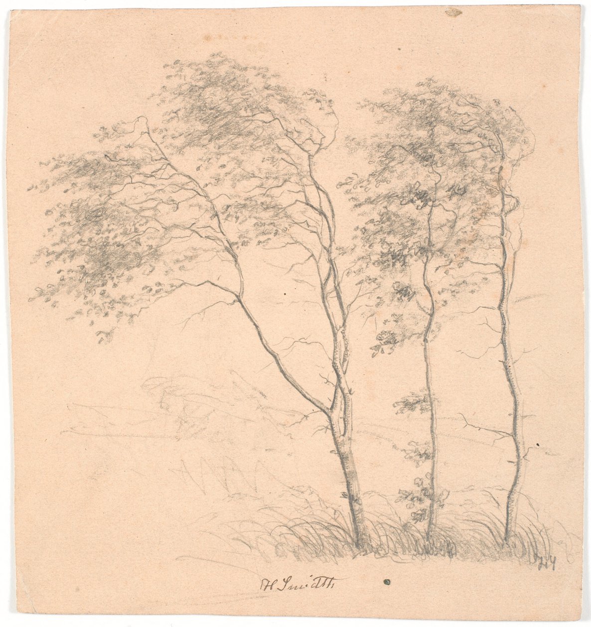 Drei Bäume von Hans Smidth