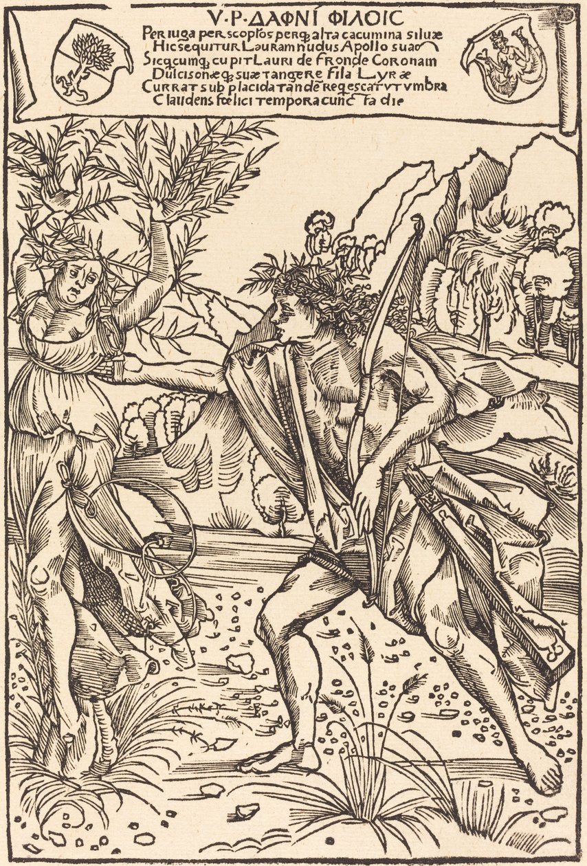 Apollo und Daphne von Hans Süss von Kulmbach
