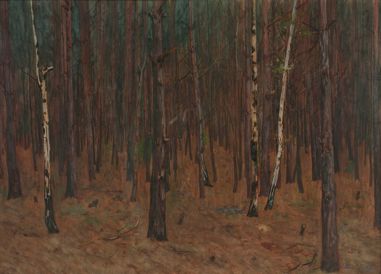 Waldinneres von Hans Tichy