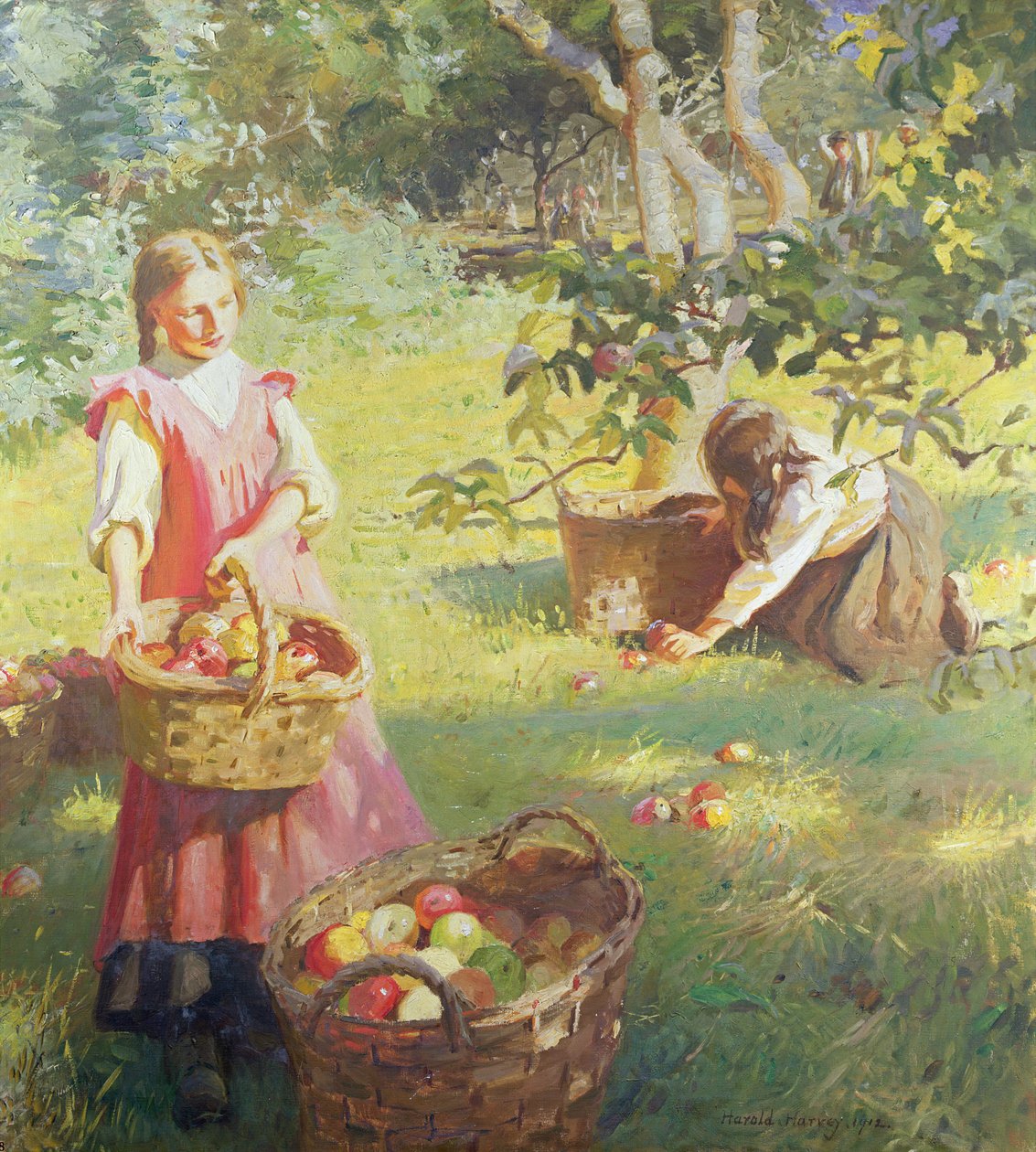 Äpfel von Harold Harvey