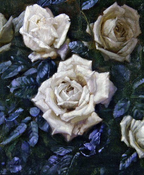 Weiße Rosen von Harold Oakley