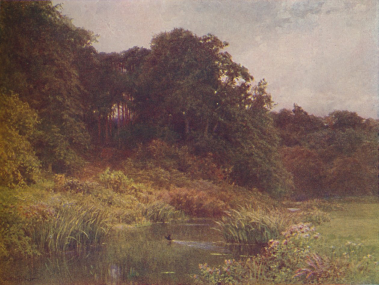 Ein Bach, 1910 von Harold Sutton Palmer