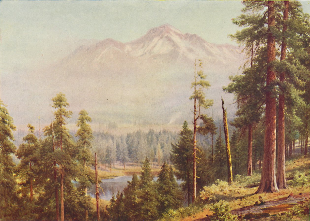 Mount Shasta, 1916 von Harold Sutton Palmer