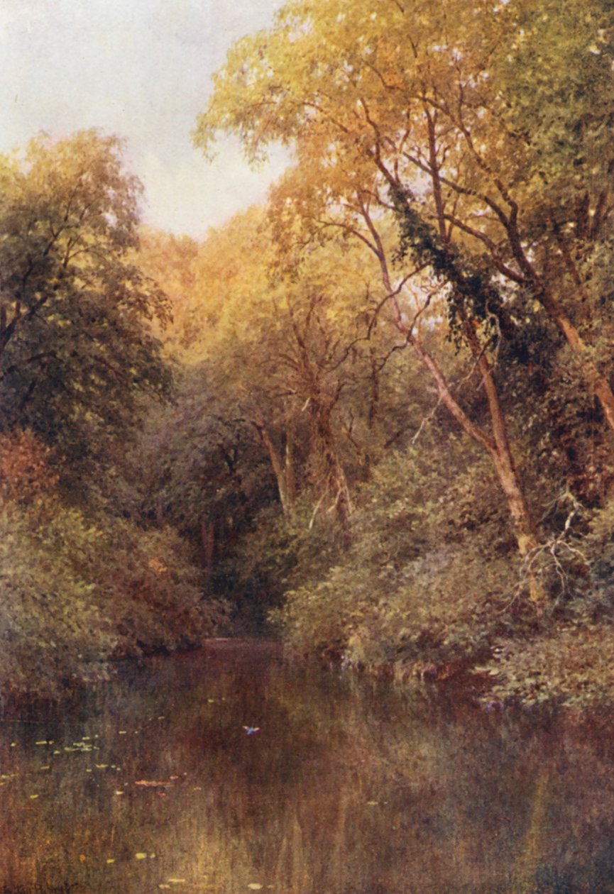 Der stille Teich, Albury von Harold Sutton Palmer