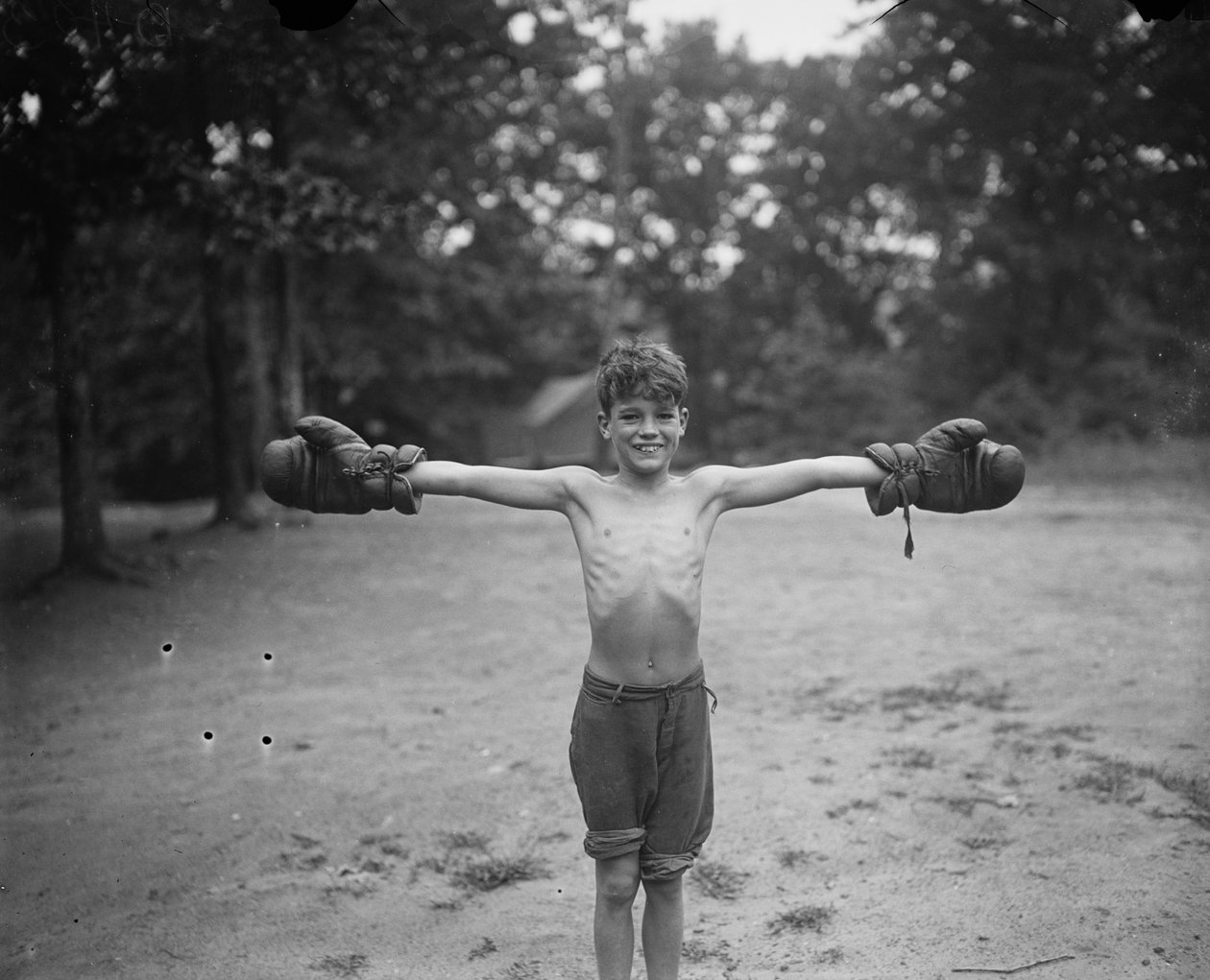Junger Junge mit Boxhandschuhen von Harris & Ewing