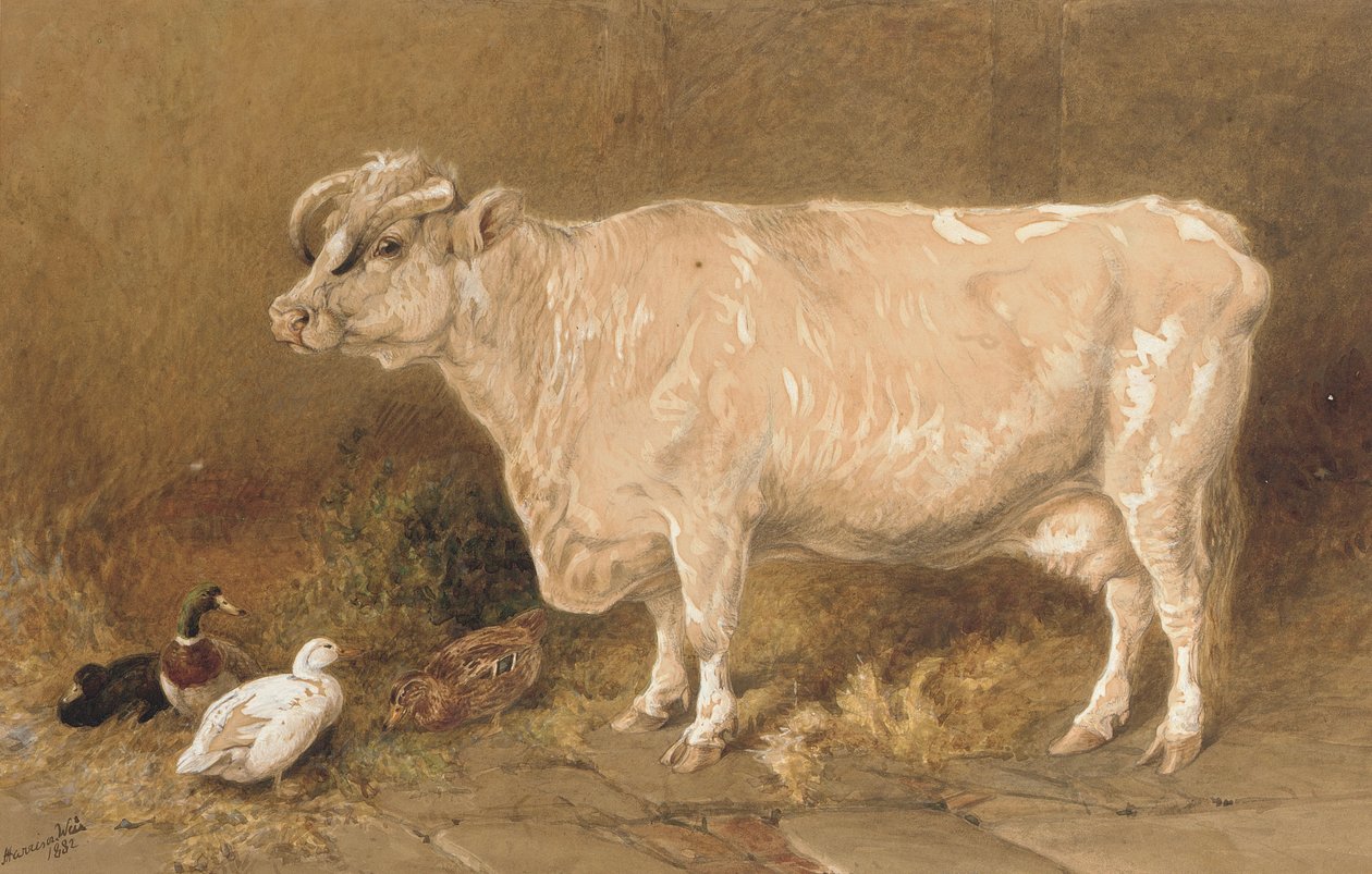 Kuh mit Enten in einer Scheune von Harrison William Weir