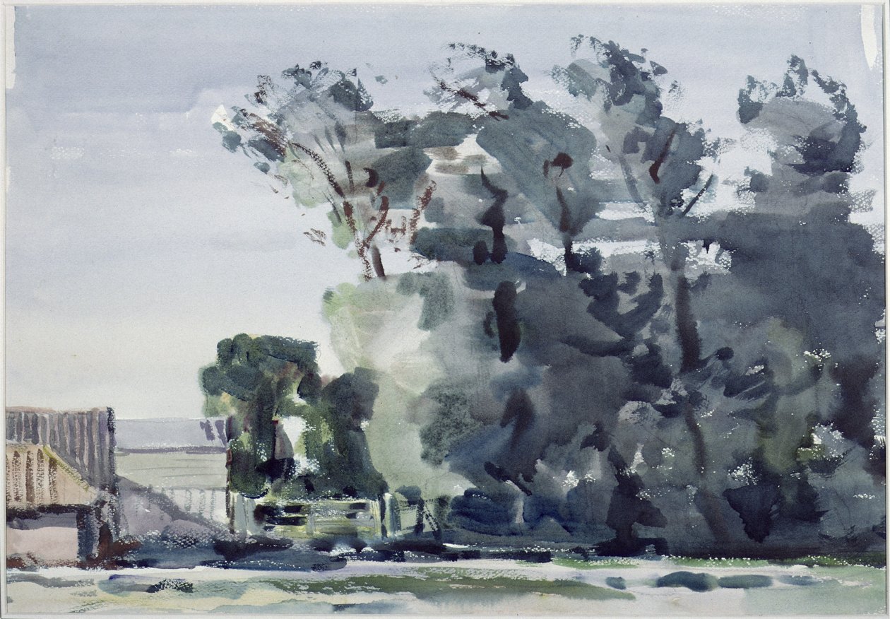 Bäume - Morgendämmerung von Harry Becker