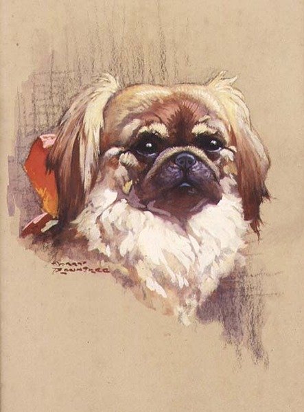 Rotes Band von Harry Rountree
