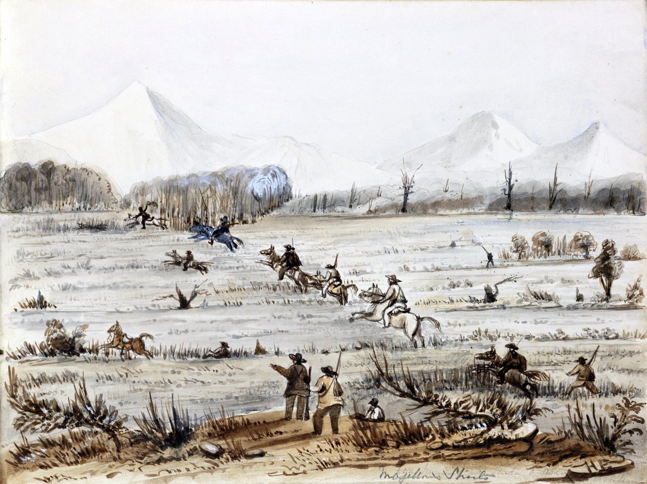 Fuchsjagd, Magellanstraße (Chile) von Harry Edmond Edgell