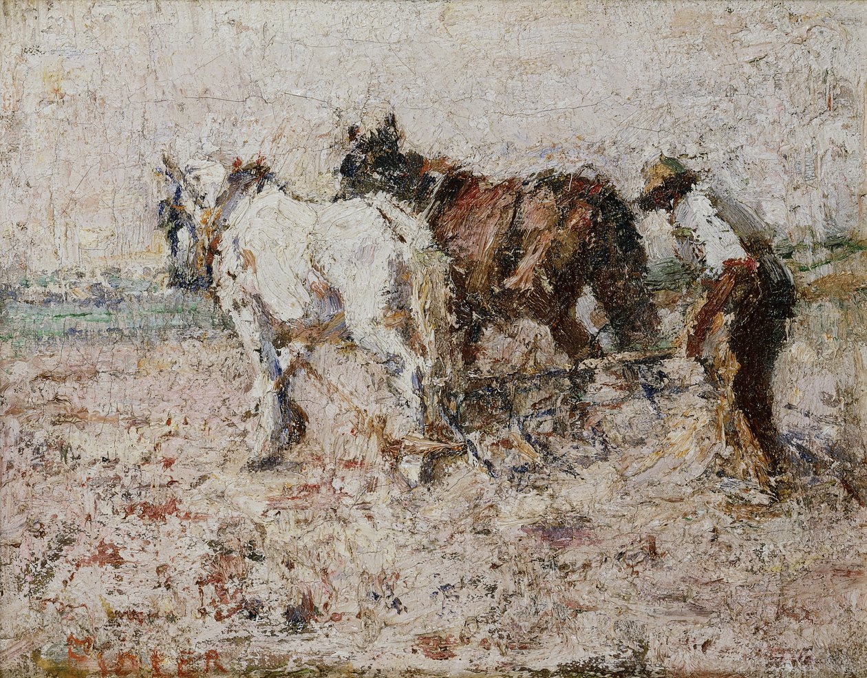 Eggen von Harry Fidler