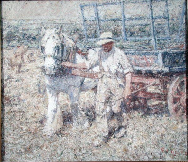 Der Pflüger von Harry Fidler