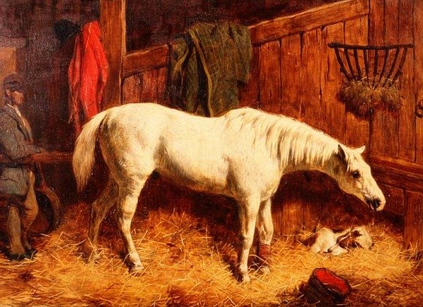 Für die Saison erledigt von Harry Hall