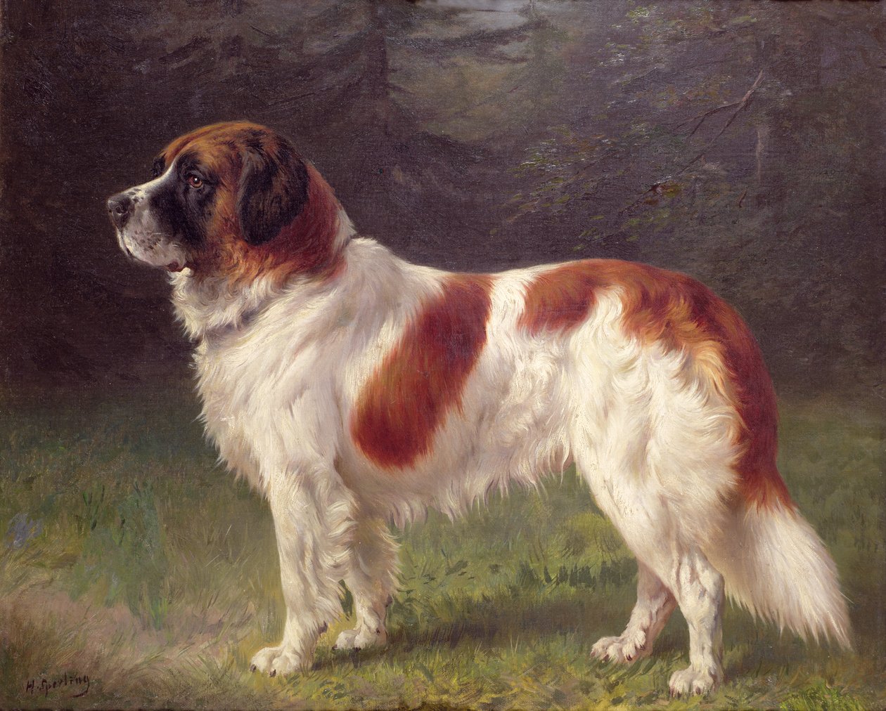 St. Bernhard von Heinrich Sperling