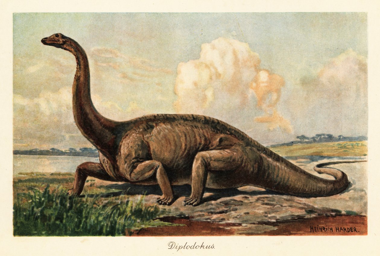Ausgestorbener Diplodocus longus auf den Ebenen von Heinrich Harder