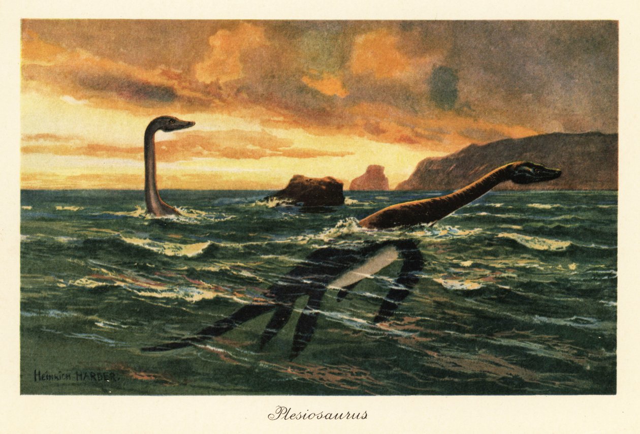 Plesiosaurus dolichodeirus im Ozean von Heinrich Harder