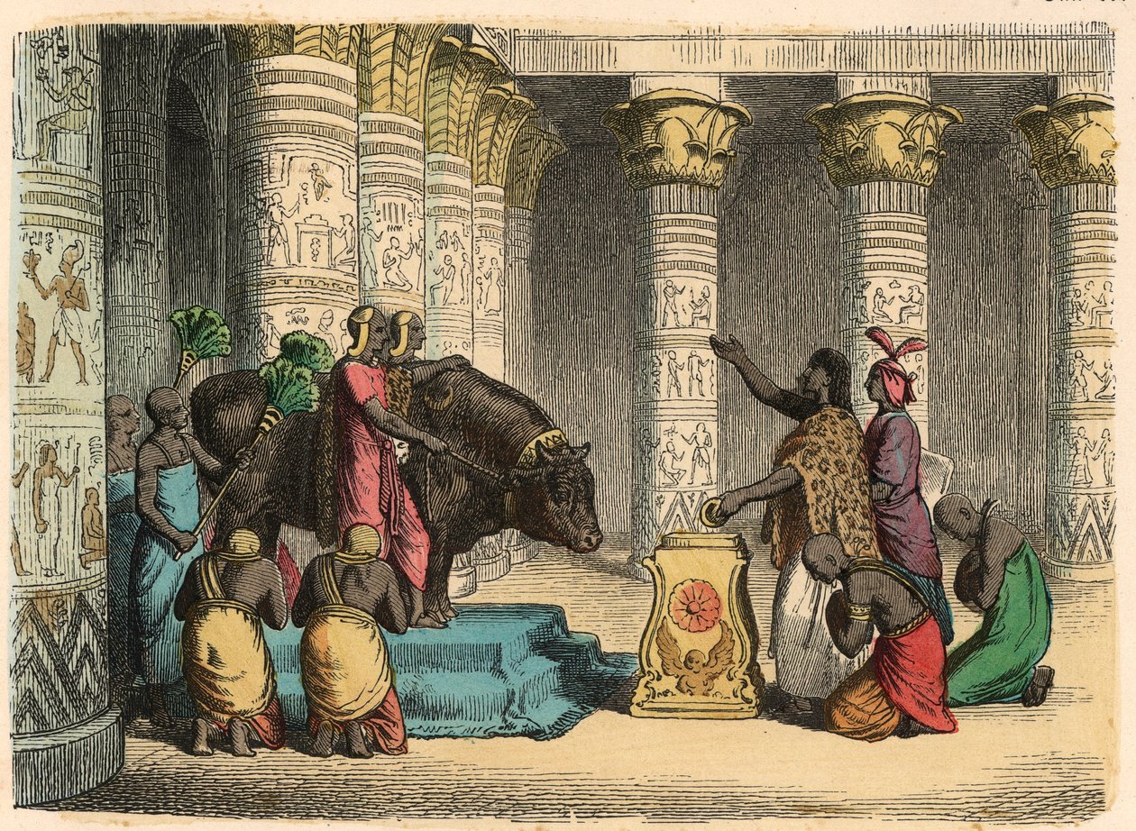 Altes Ägypten: Verehrung des Apis-Stiers von Heinrich Leutemann