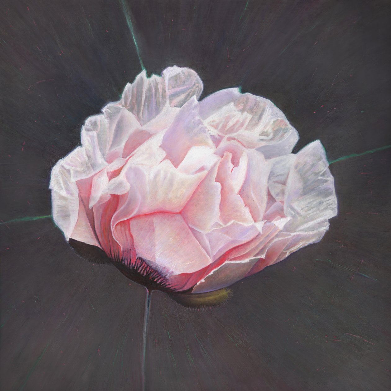 Aufbruch, 2015 von Helen White