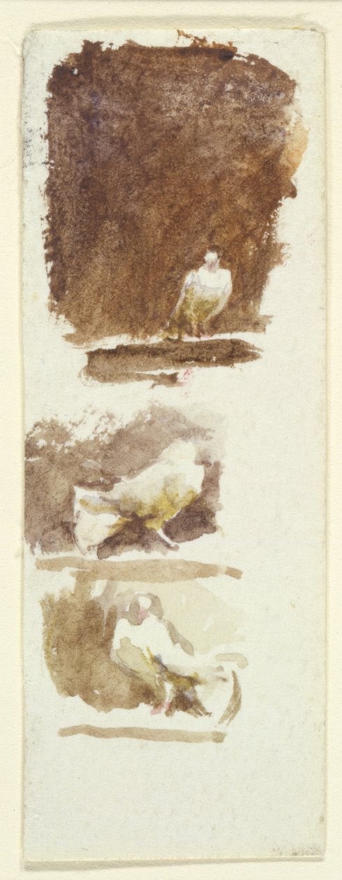 Tauben von Helen Allingham