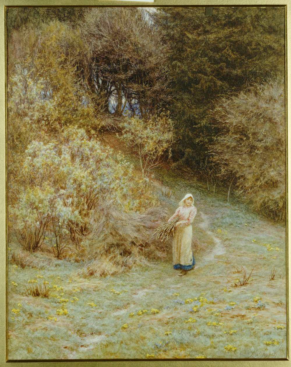 Im Primelwald von Helen Allingham