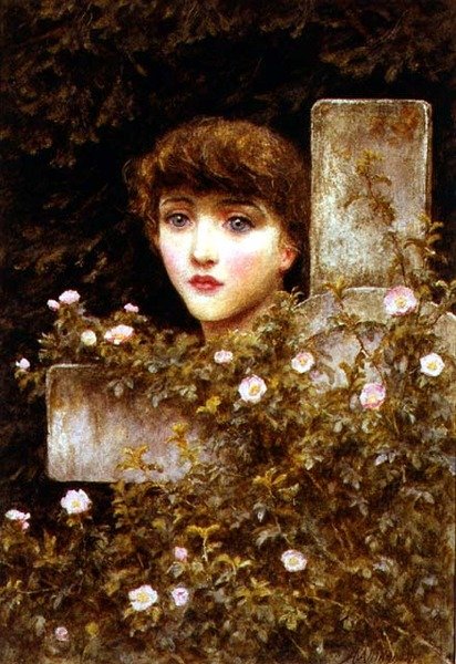 Kummer - Eine wilde Rose von Helen Allingham