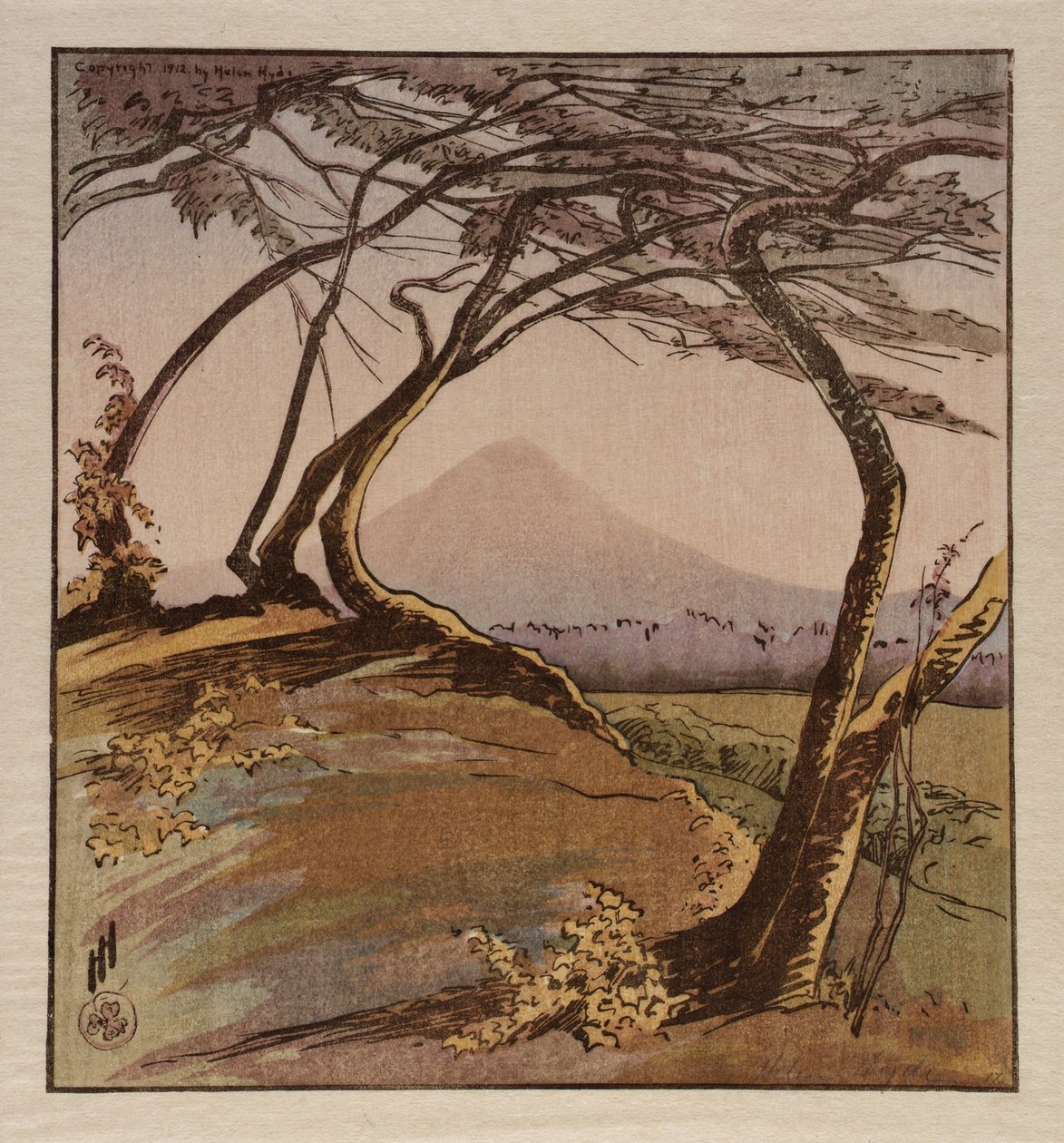 Berg Orizaba von Helen Hyde