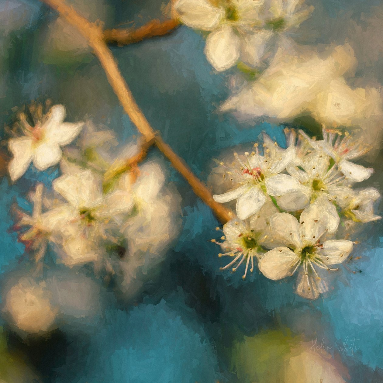 Apfelblüte, 2019 von Helen White