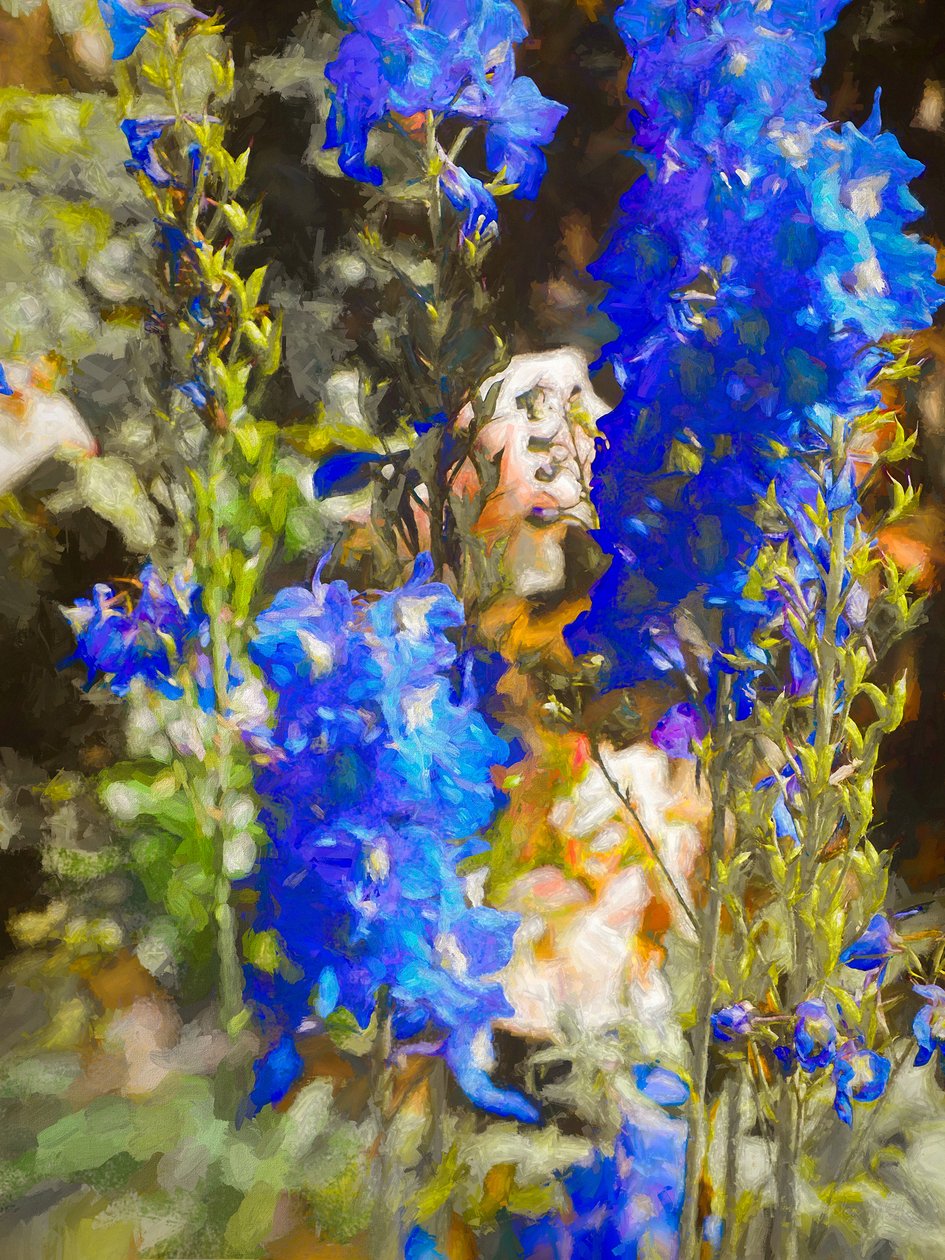 Blaue Rittersporne von Helen White