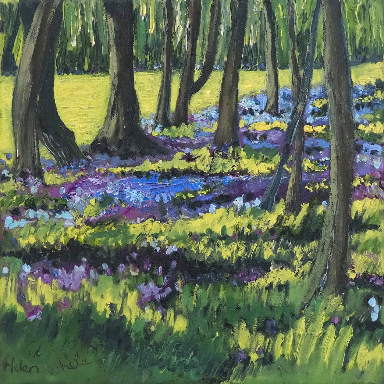 Blaublumenwald, 2008 von Helen White