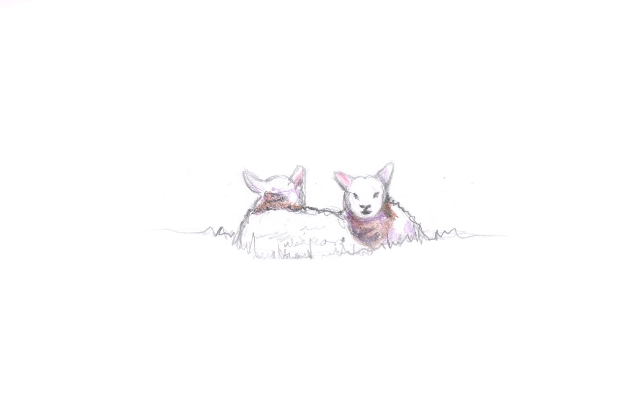 Zufrieden, 2016 von Helen White