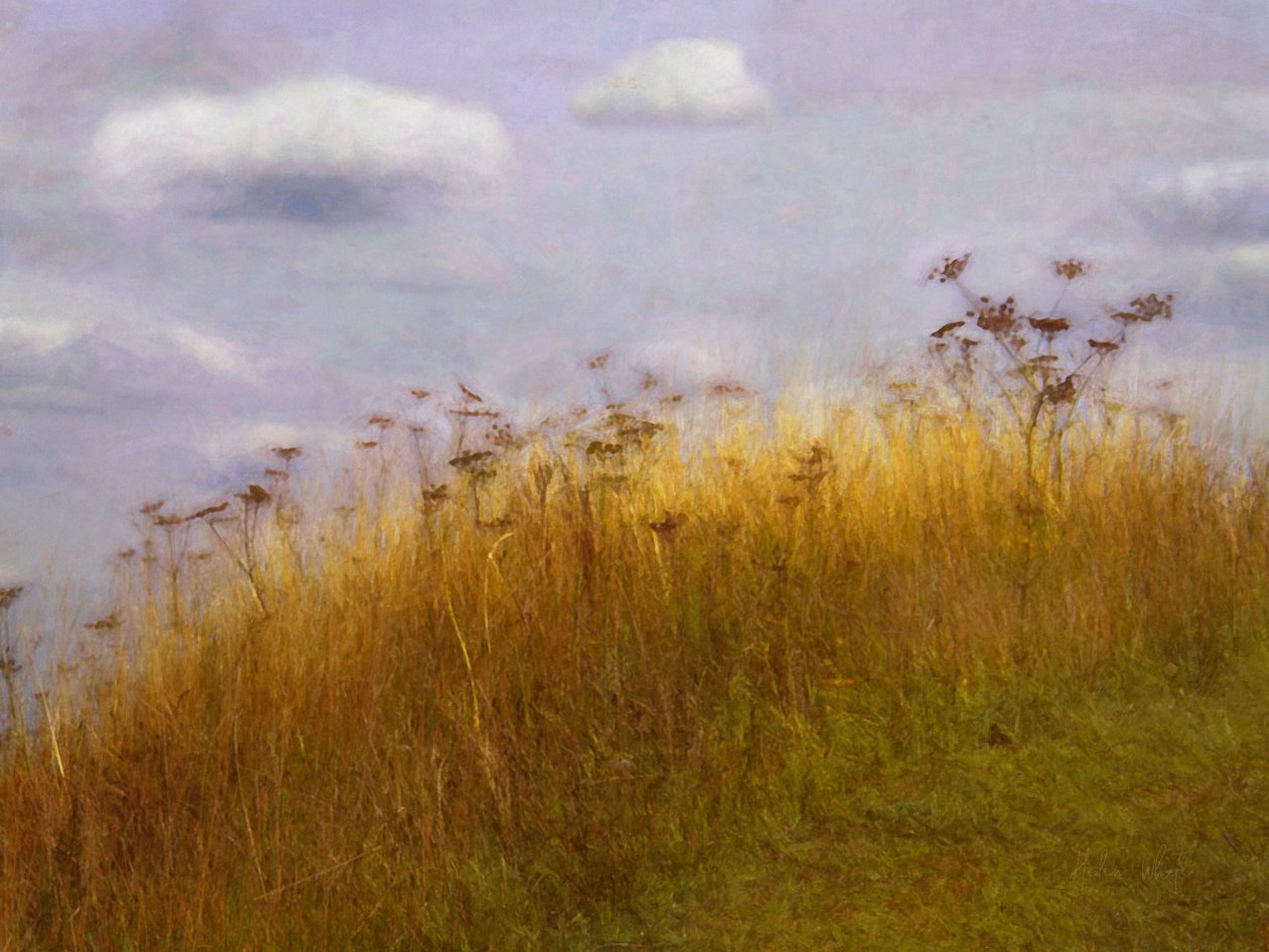Treibend von Helen White
