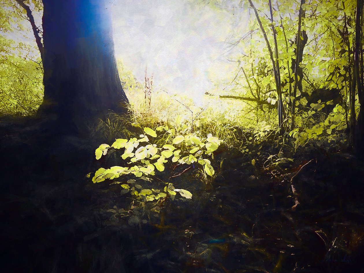 Geweihter Ort von Helen White